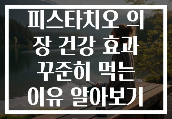 피스타치오 의 장 건강 효과 꾸준히 먹는 이유 알아보기