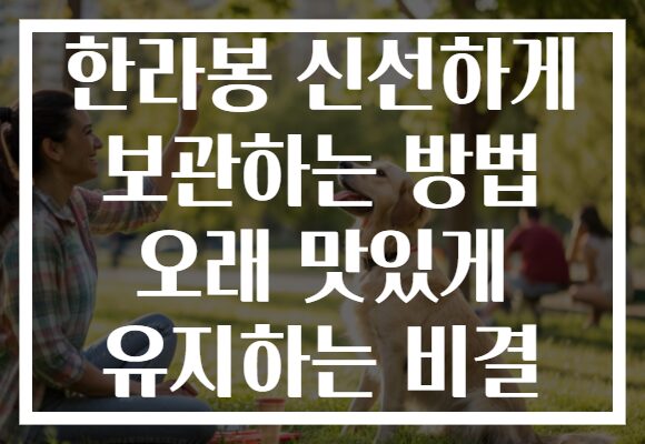 한라봉 신선하게 보관하는 방법 오래 맛있게 유지하는 비결