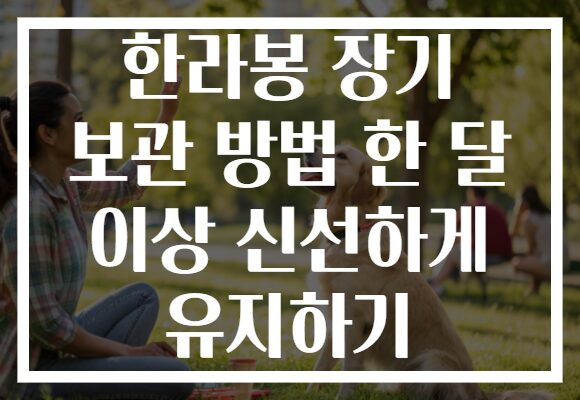 한라봉 장기 보관 방법 한 달 이상 신선하게 유지하기