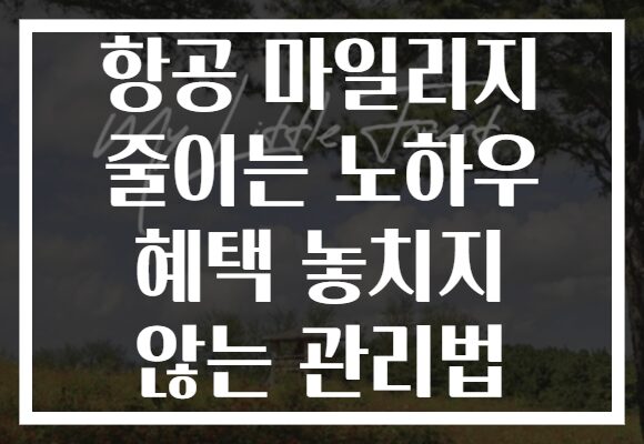 항공 마일리지 줄이는 노하우 혜택 놓치지 않는 관리법