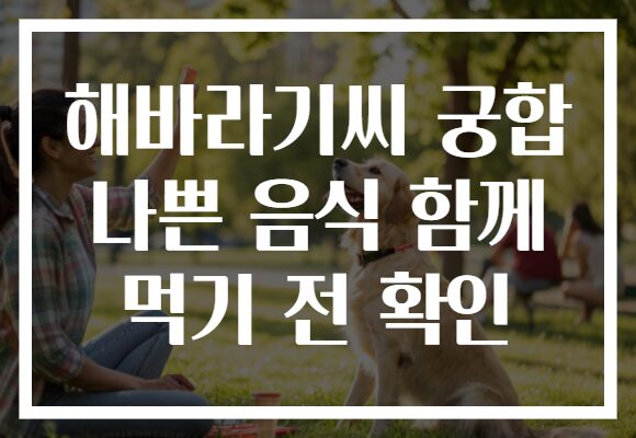 해바라기씨 궁합 나쁜 음식 함께 먹기 전 확인 해바라기씨 궁합 나쁜 음식 함께 먹기 전 확인