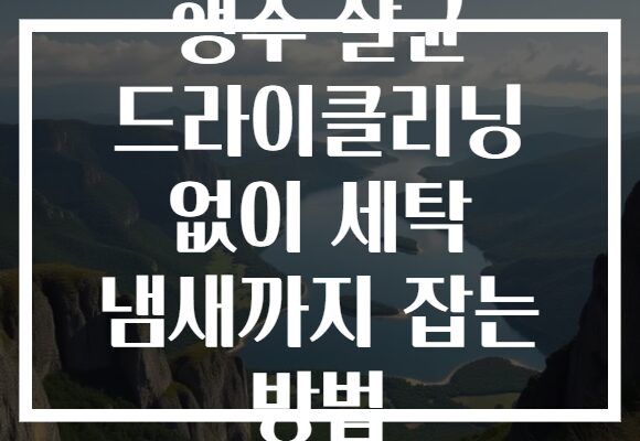 행주 살균 드라이클리닝 없이 세탁 냄새까지 잡는 방법 행주 살균 드라이클리닝 없이 세탁 냄새까지 잡는 방법