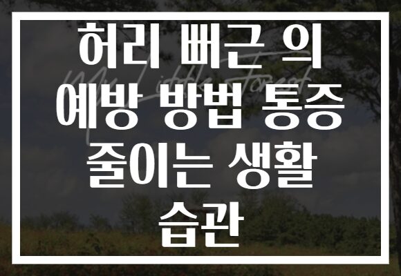허리 뻐근 의 예방 방법 통증 줄이는 생활 습관