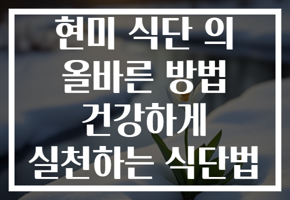 현미 식단 의 올바른 방법 건강하게 실천하는 식단법