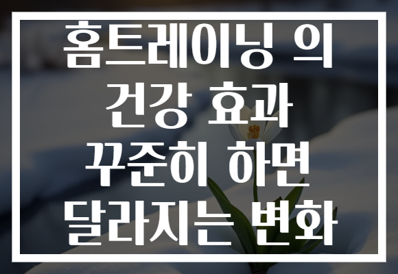 홈트레이닝 의 건강 효과 꾸준히 하면 달라지는 변화