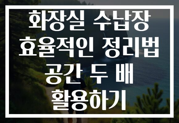 화장실 수납장 효율적인 정리법 공간 두 배 활용하기 화장실 수납장 효율적인 정리법 공간 두 배 활용하기