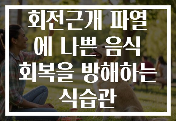 회전근개 파열 에 나쁜 음식 회복을 방해하는 식습관