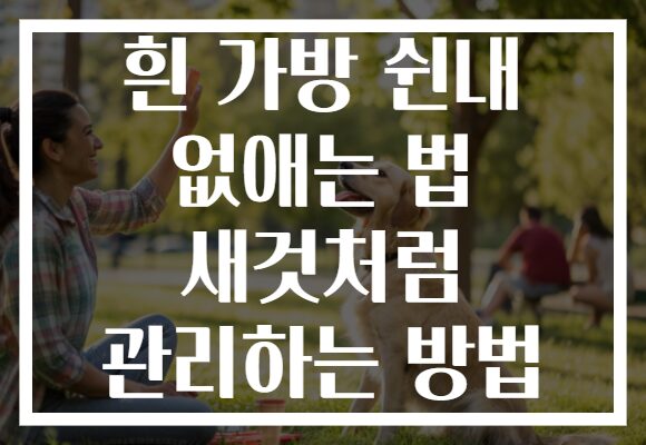 흰 가방 쉰내 없애는 법 새것처럼 관리하는 방법