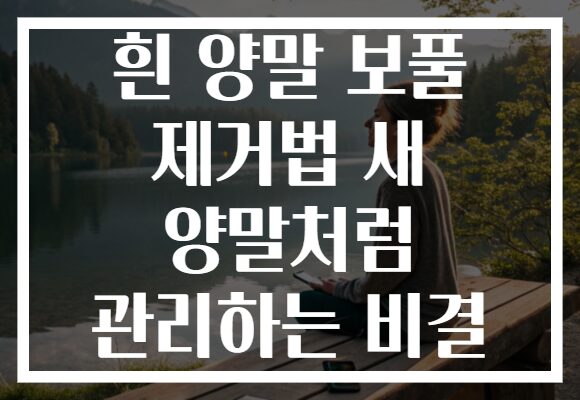 흰 양말 보풀 제거법 새 양말처럼 관리하는 비결