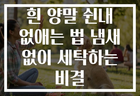 흰 양말 쉰내 없애는 법 냄새 없이 세탁하는 비결