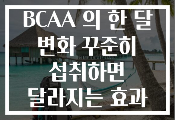 BCAA 의 한 달 변화 꾸준히 섭취하면 달라지는 효과 BCAA 의 한 달 변화 꾸준히 섭취하면 달라지는 효과