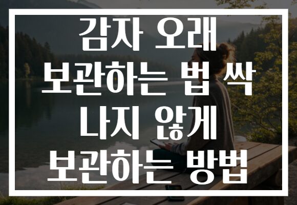 감자 오래 보관하는 법 싹 나지 않게 보관하는 방법 감자 오래 보관하는 법 싹 나지 않게 보관하는 방법