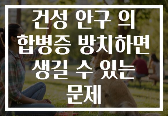 건성 안구 의 합병증 방치하면 생길 수 있는 문제