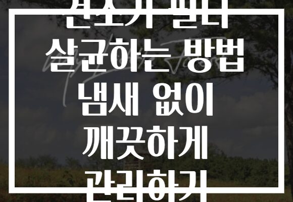 건조기 필터 살균하는 방법 냄새 없이 깨끗하게 관리하기 건조기 필터 살균하는 방법 냄새 없이 깨끗하게 관리하기