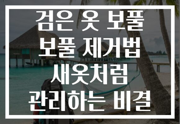 검은 옷 보풀 보풀 제거법 새옷처럼 관리하는 비결