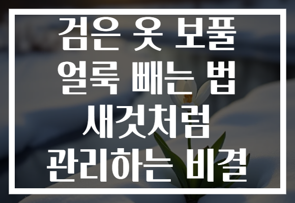 검은 옷 보풀 얼룩 빼는 법 새것처럼 관리하는 비결
