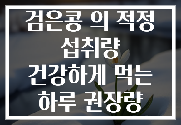 검은콩 의 적정 섭취량 건강하게 먹는 하루 권장량 검은콩 의 적정 섭취량 건강하게 먹는 하루 권장량