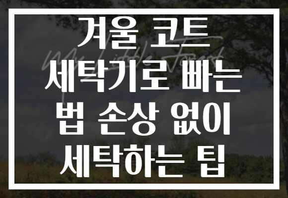 겨울 코트 세탁기로 빠는 법 손상 없이 세탁하는 팁