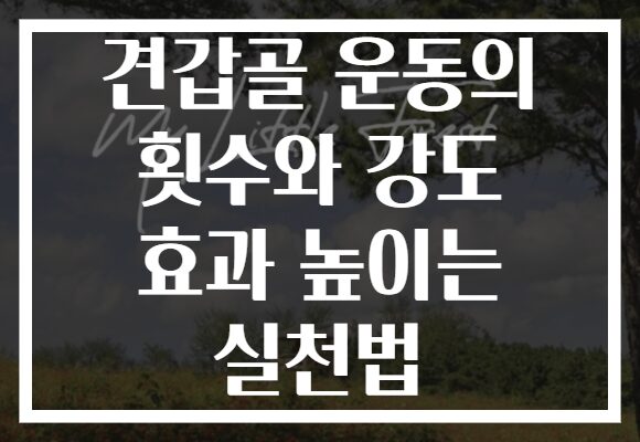 견갑골 운동의 횟수와 강도 효과 높이는 실천법