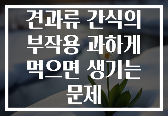 견과류 간식의 부작용 과하게 먹으면 생기는 문제