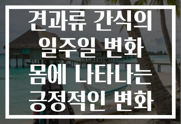 견과류 간식의 일주일 변화 몸에 나타나는 긍정적인 변화 견과류 간식의 일주일 변화 몸에 나타나는 긍정적인 변화