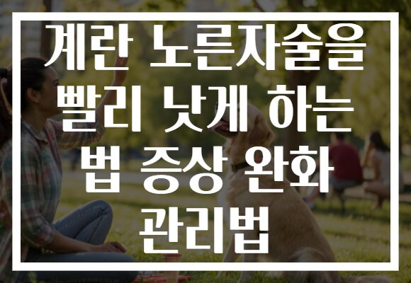 계란 노른자술을 빨리 낫게 하는 법 증상 완화 관리법