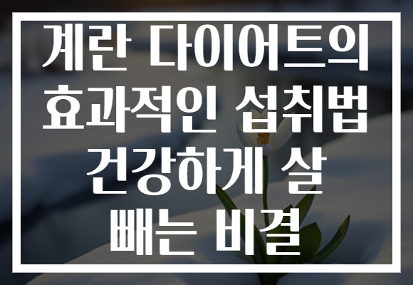 계란 다이어트의 효과적인 섭취법 건강하게 살 빼는 비결