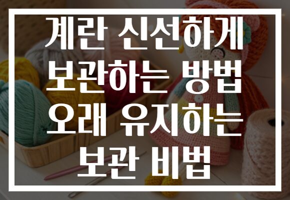 계란 신선하게 보관하는 방법 오래 유지하는 보관 비법