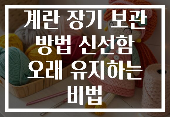 계란 장기 보관 방법 신선함 오래 유지하는 비법