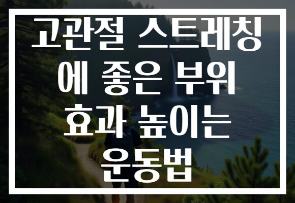 고관절 스트레칭 에 좋은 부위 효과 높이는 운동법 고관절 스트레칭 에 좋은 부위 효과 높이는 운동법