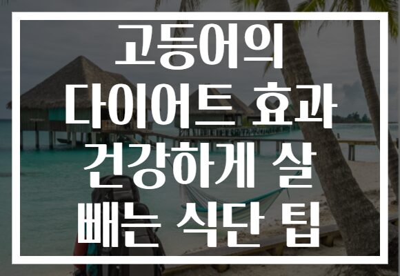 고등어의 다이어트 효과 건강하게 살 빼는 식단 팁 고등어의 다이어트 효과 건강하게 살 빼는 식단 팁