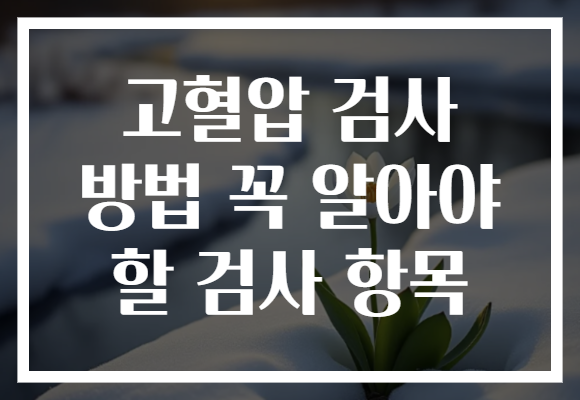 고혈압 검사 방법 꼭 알아야 할 검사 항목 고혈압 검사 방법 꼭 알아야 할 검사 항목