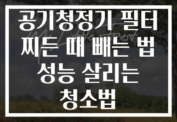 공기청정기 필터 찌든 때 빼는 법 성능 살리는 청소법