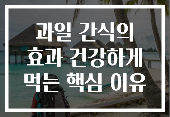 과일 간식의 효과 건강하게 먹는 핵심 이유 과일 간식의 효과 건강하게 먹는 핵심 이유