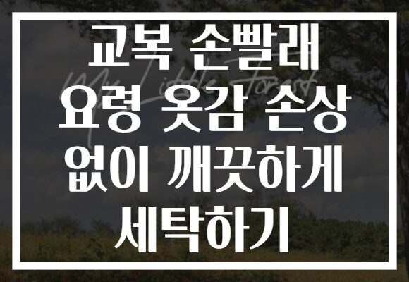 교복 손빨래 요령 옷감 손상 없이 깨끗하게 세탁하기 교복 손빨래 요령 옷감 손상 없이 깨끗하게 세탁하기