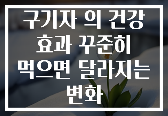 구기자 의 건강 효과 꾸준히 먹으면 달라지는 변화 구기자 의 건강 효과 꾸준히 먹으면 달라지는 변화