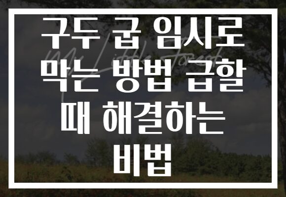 구두 굽 임시로 막는 방법 급할 때 해결하는 비법 구두 굽 임시로 막는 방법 급할 때 해결하는 비법