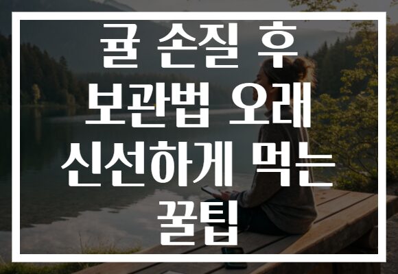 귤 손질 후 보관법 오래 신선하게 먹는 꿀팁