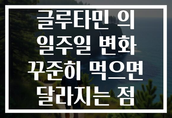 글루타민 의 일주일 변화 꾸준히 먹으면 달라지는 점 글루타민 의 일주일 변화 꾸준히 먹으면 달라지는 점
