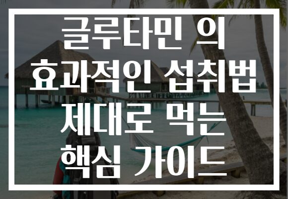 글루타민 의 효과적인 섭취법 제대로 먹는 핵심 가이드