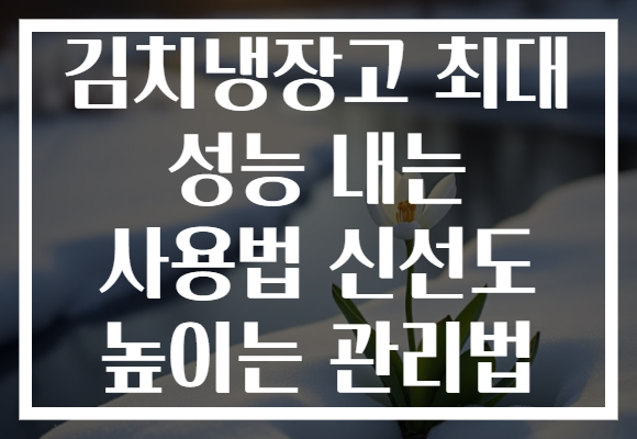 김치냉장고 최대 성능 내는 사용법 신선도 높이는 관리법 김치냉장고 최대 성능 내는 사용법 신선도 높이는 관리법