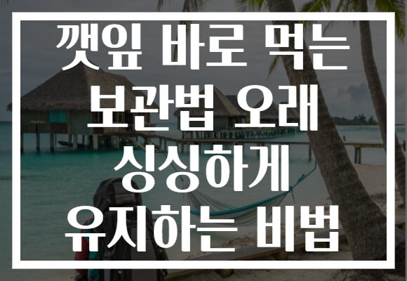 깻잎 바로 먹는 보관법 오래 싱싱하게 유지하는 비법