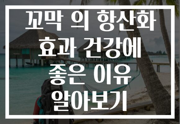 꼬막 의 항산화 효과 건강에 좋은 이유 알아보기 꼬막 의 항산화 효과 건강에 좋은 이유 알아보기