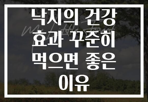낙지의 건강 효과 꾸준히 먹으면 좋은 이유