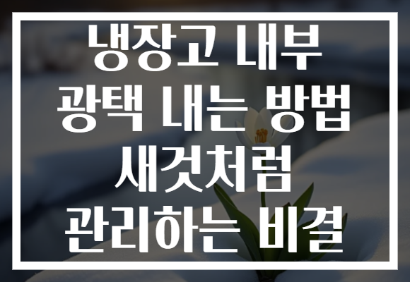 냉장고 내부 광택 내는 방법 새것처럼 관리하는 비결