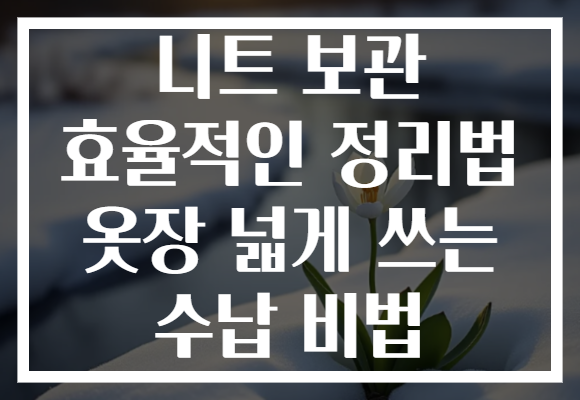 니트 보관 효율적인 정리법 옷장 넓게 쓰는 수납 비법 니트 보관 효율적인 정리법 옷장 넓게 쓰는 수납 비법