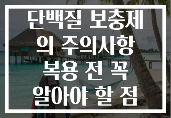 단백질 보충제 의 주의사항 복용 전 꼭 알아야 할 점