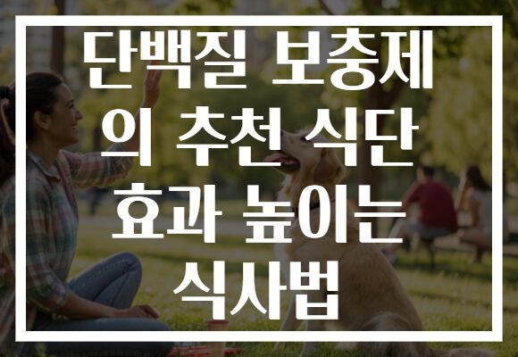단백질 보충제 의 추천 식단 효과 높이는 식사법 단백질 보충제 의 추천 식단 효과 높이는 식사법