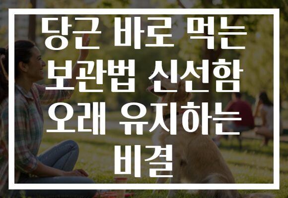 당근 바로 먹는 보관법 신선함 오래 유지하는 비결 당근 바로 먹는 보관법 신선함 오래 유지하는 비결