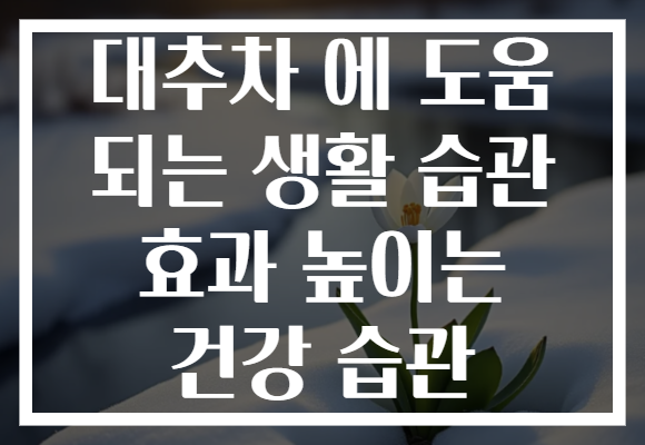 대추차 에 도움 되는 생활 습관 효과 높이는 건강 습관 대추차 에 도움 되는 생활 습관 효과 높이는 건강 습관